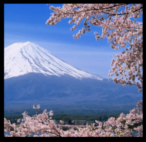 移住希望地域ランキング(2016年)は山梨が1位!(理由は?)2015年2014年の過去のトップ10順位は?